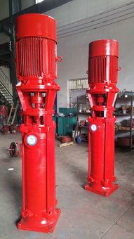 立式多級(jí)泵工作原理 公司動(dòng)態(tài) 永嘉縣大西洋泵業(yè)制造