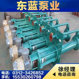 安國市東藍(lán)水泵廠產(chǎn)品概覽 高效可靠的工業(yè)泵解決方案