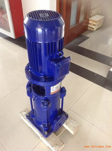 25LG3-10×11立式多級泵 結構、原理與應用